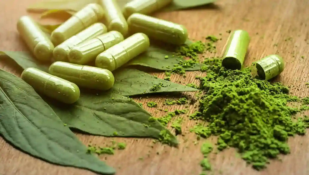 Discover the Magic of Moringa: Nature’s Nutrient Powerhouse