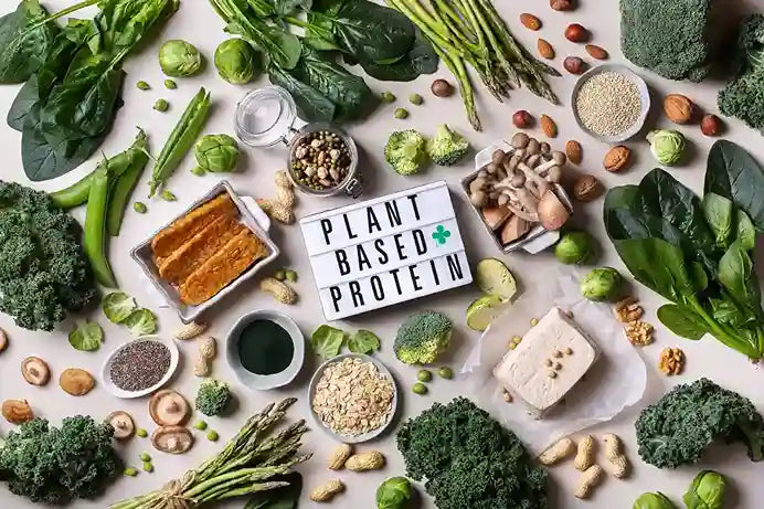 From Plants to Power: The Smarter, Healthier Protein Choice