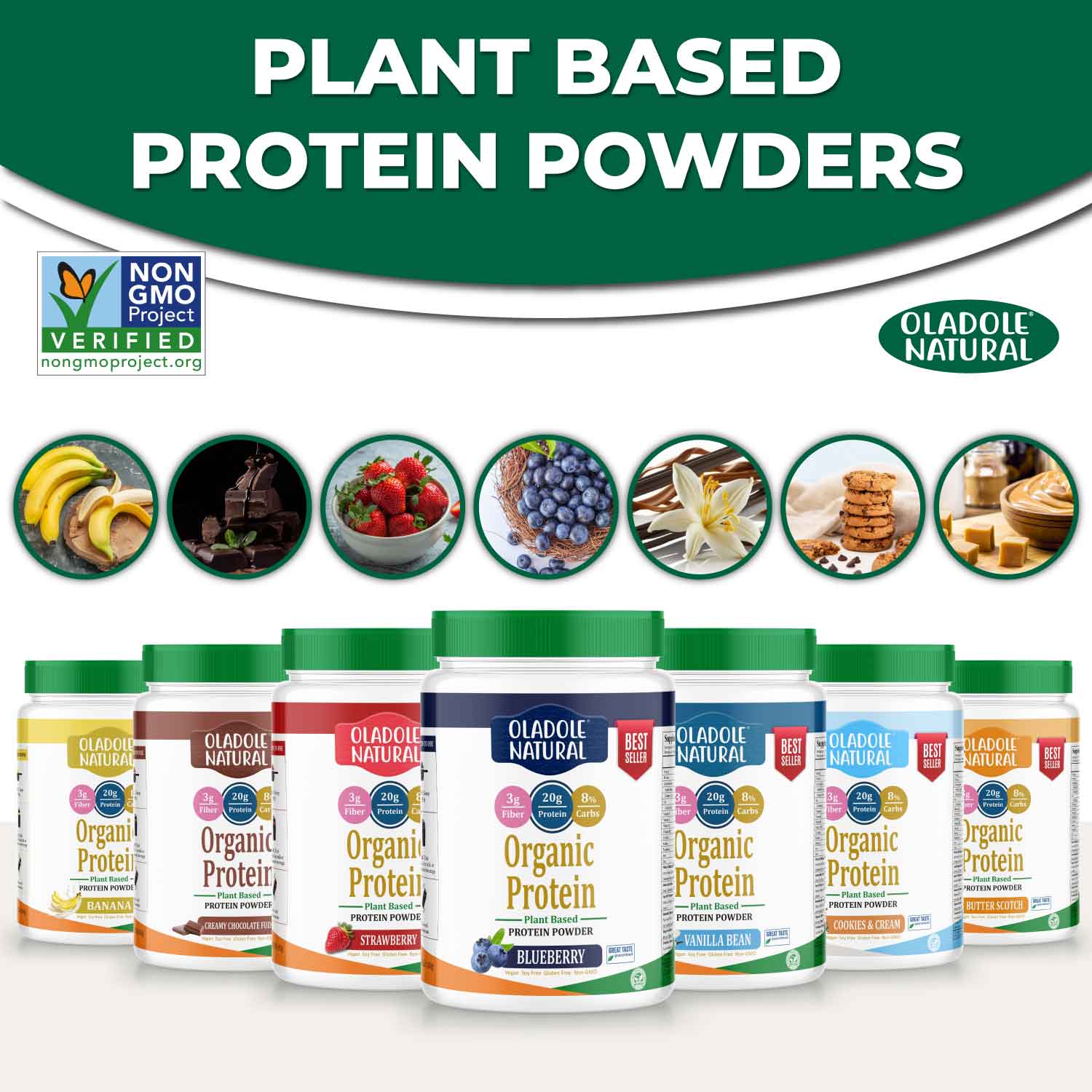 Collection Plant Based Protein Powder
