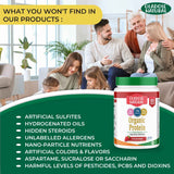 Key Benefits Plant Based Protein Powder Strawberry1 Kg Halal

