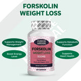 Forskolin Extract for Weight Loss 500 mg 