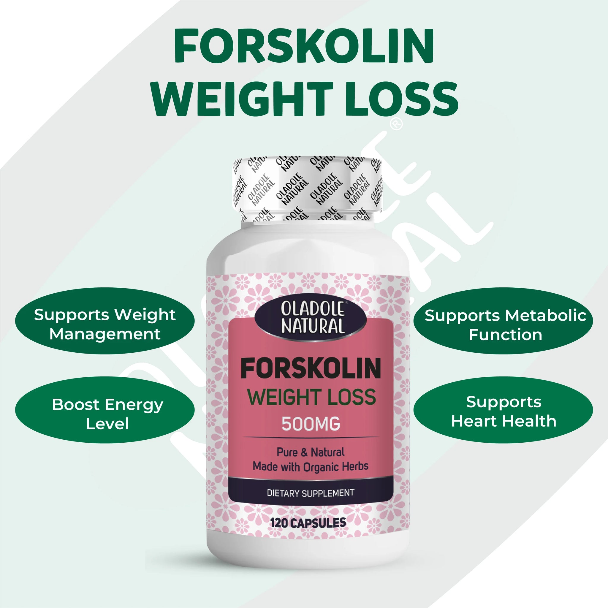 Forskolin Extract for Weight Loss 500 mg 