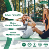 Forskolin Extract for Weight Loss 500 mg 