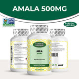 Amla 500 mg 