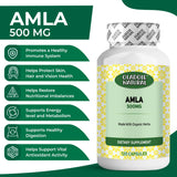 Amla 500 mg 