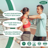 Amla 500 mg 
