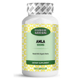 Amla 500 mg 