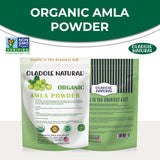 Organic Amla Powder 100 g 