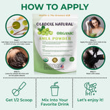 Organic Amla Powder 100 g 