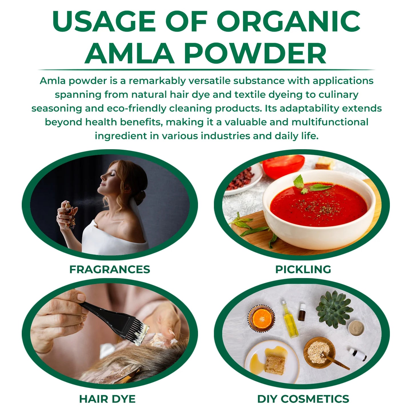 Organic Amla Powder 100 g 