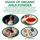 Organic Amla Powder 100 g 