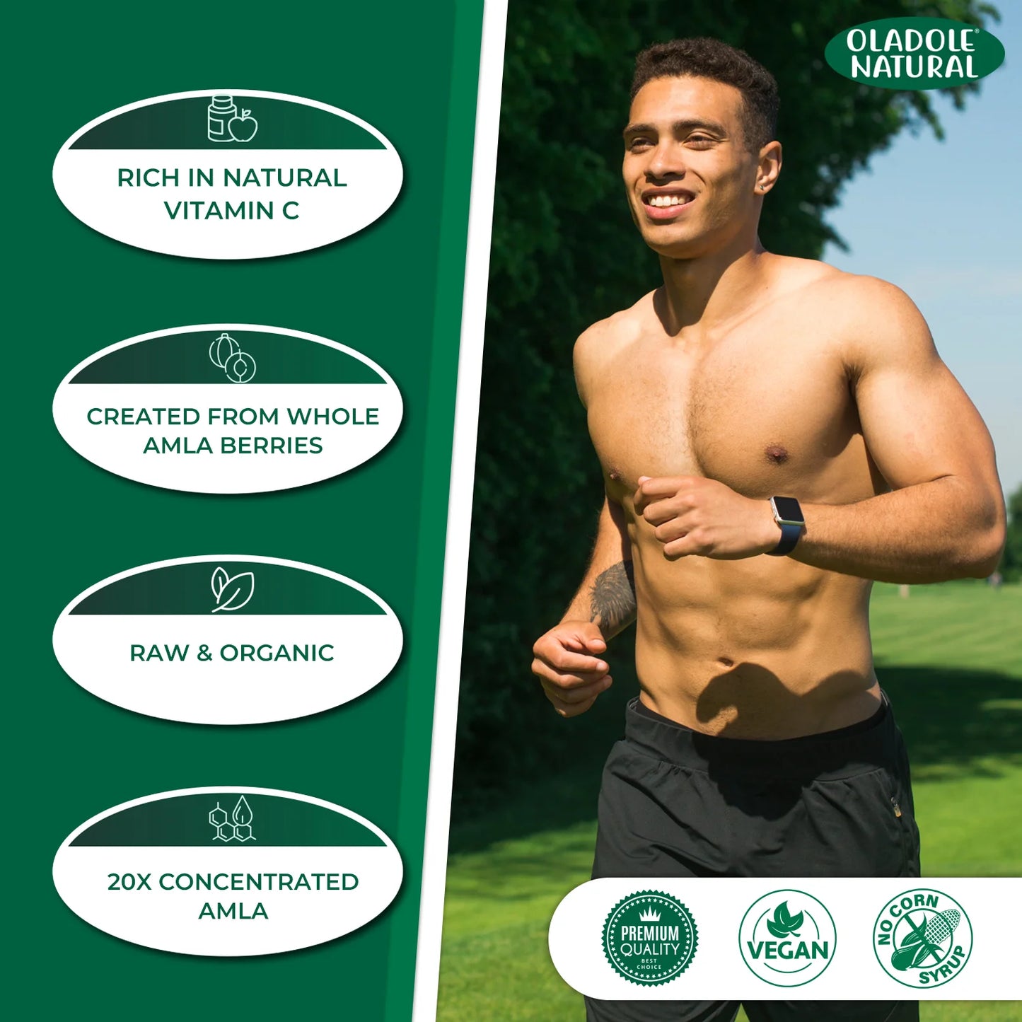Organic Amla Powder 100 g 