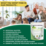 Organic Amla Powder 100 g 
