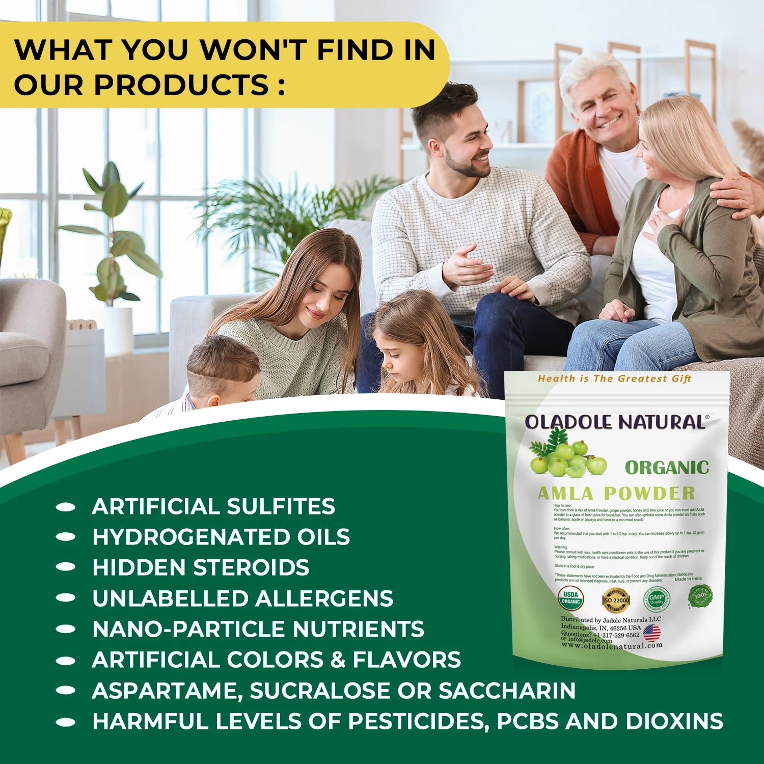 Organic Amla Powder 100 g 