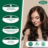 Aritha Powder 100% Organic 100 g