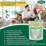Organic Barley Grass Powder 100 g