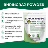 Bhringraj Powder 100 g
