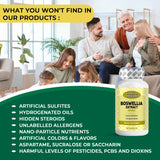Boswellia Extract 1000 mg - 120 Capsules