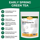 Early Spring Green Tea Loose Tea 100 g