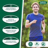 Ginger Root Extract Supplement 1000 mg
