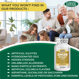 Ginger Root Extract Supplement 1000 mg