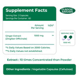 Ginger Root Extract Supplement 1000 mg