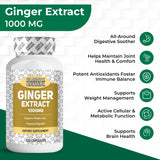 Ginger Root Extract Supplement 1000 mg