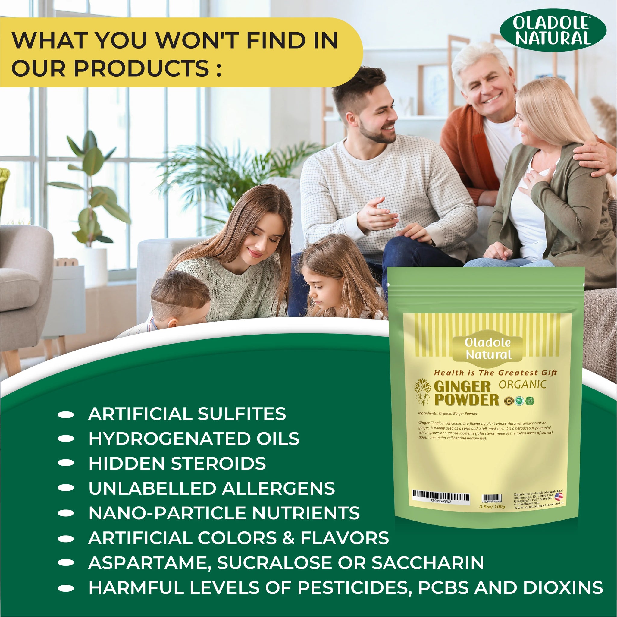 Ginger Powder 100 g