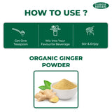 Ginger Powder 100 g