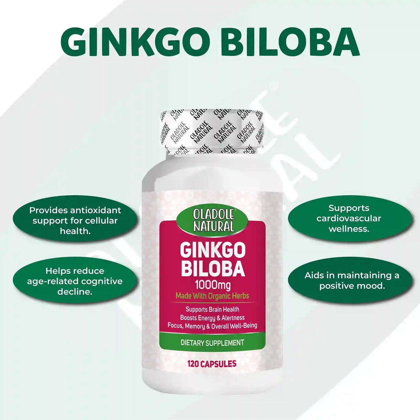 Ginkgo Biloba 1000 mg