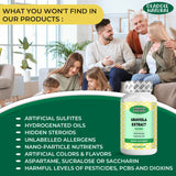 Graviola Extract 1000 mg 