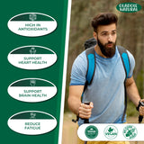 Guarana Extract 1000 mg 