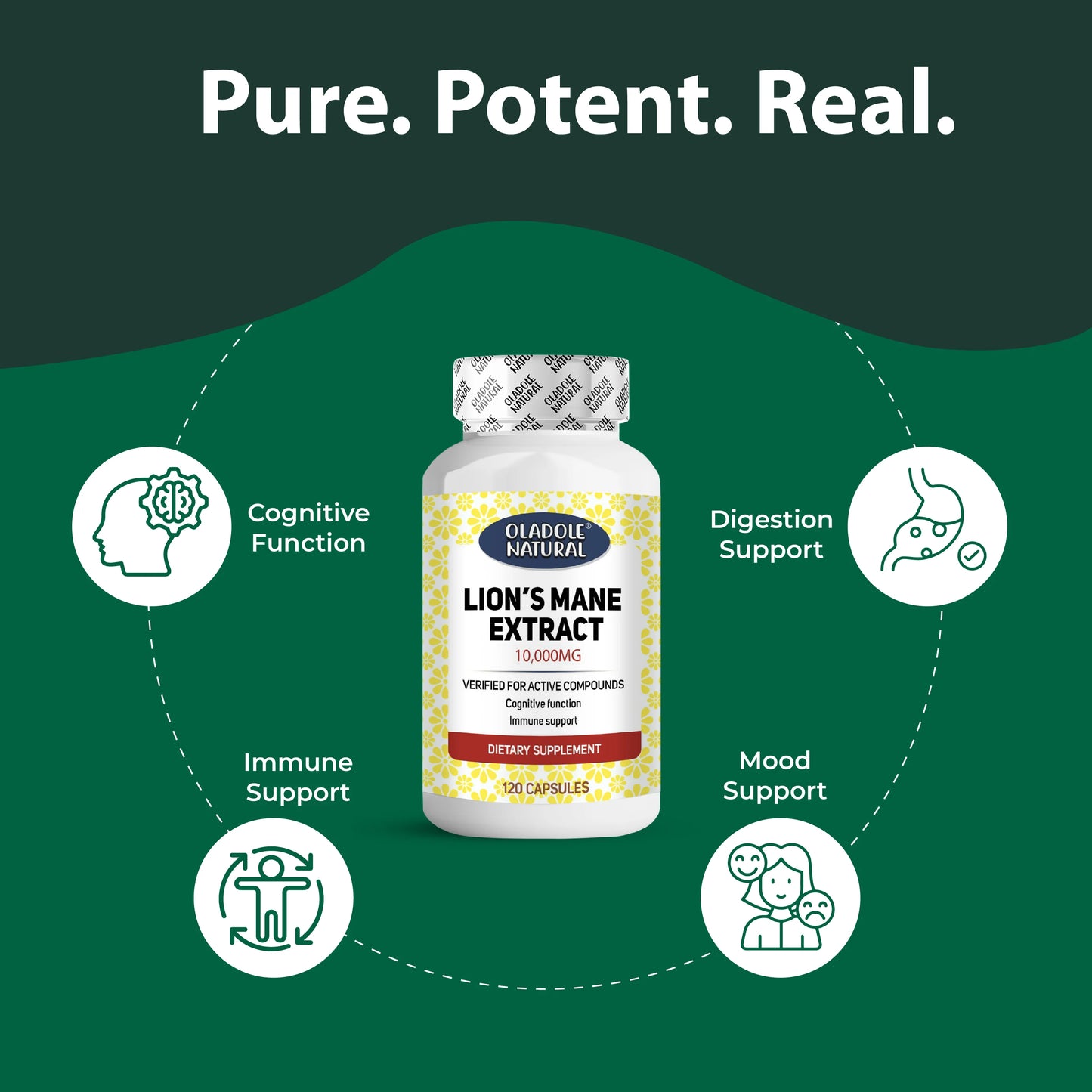 Lion's Mane Extract 10,000 mcg