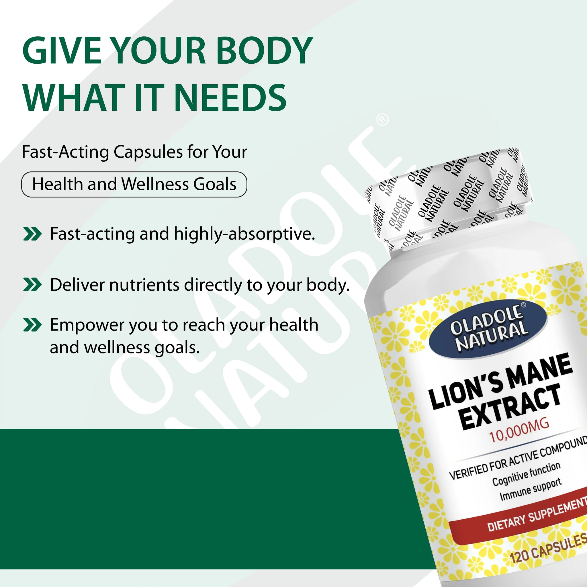 Lion's Mane Extract 10,000 mcg