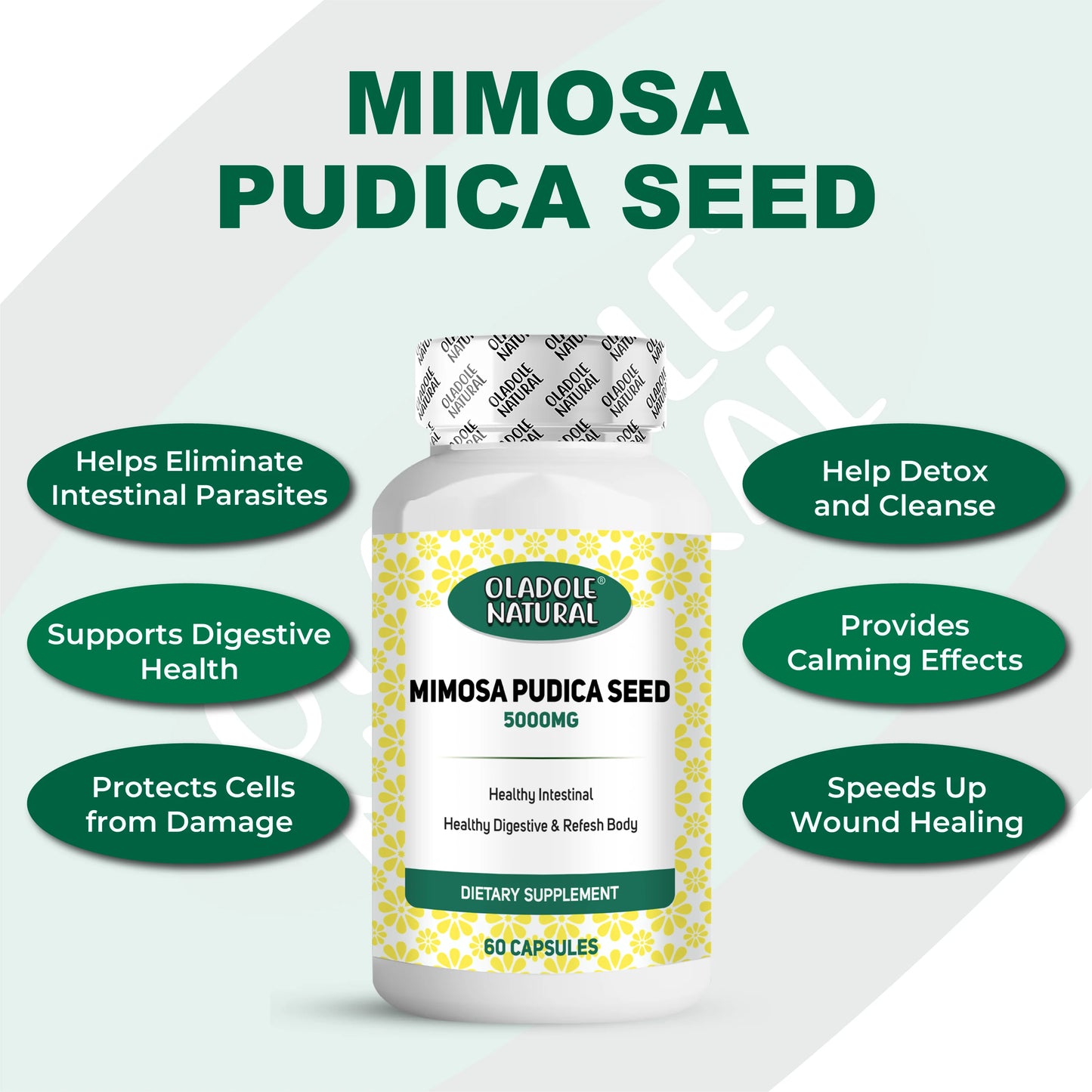 Mimosa Pudica Seed 5000 mg 