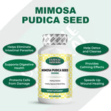 Mimosa Pudica Seed 5000 mg 