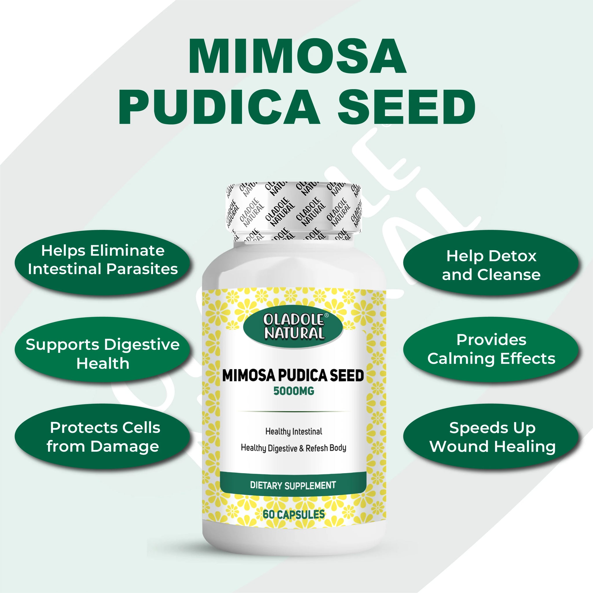 Mimosa Pudica Seed 5000 mg 
