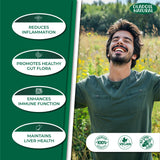 Mimosa Pudica Seed 5000 mg 