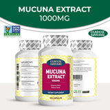 Mucuna Extract 1000 mg  