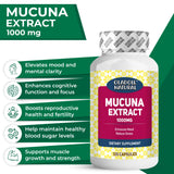 Mucuna Extract 1000 mg  