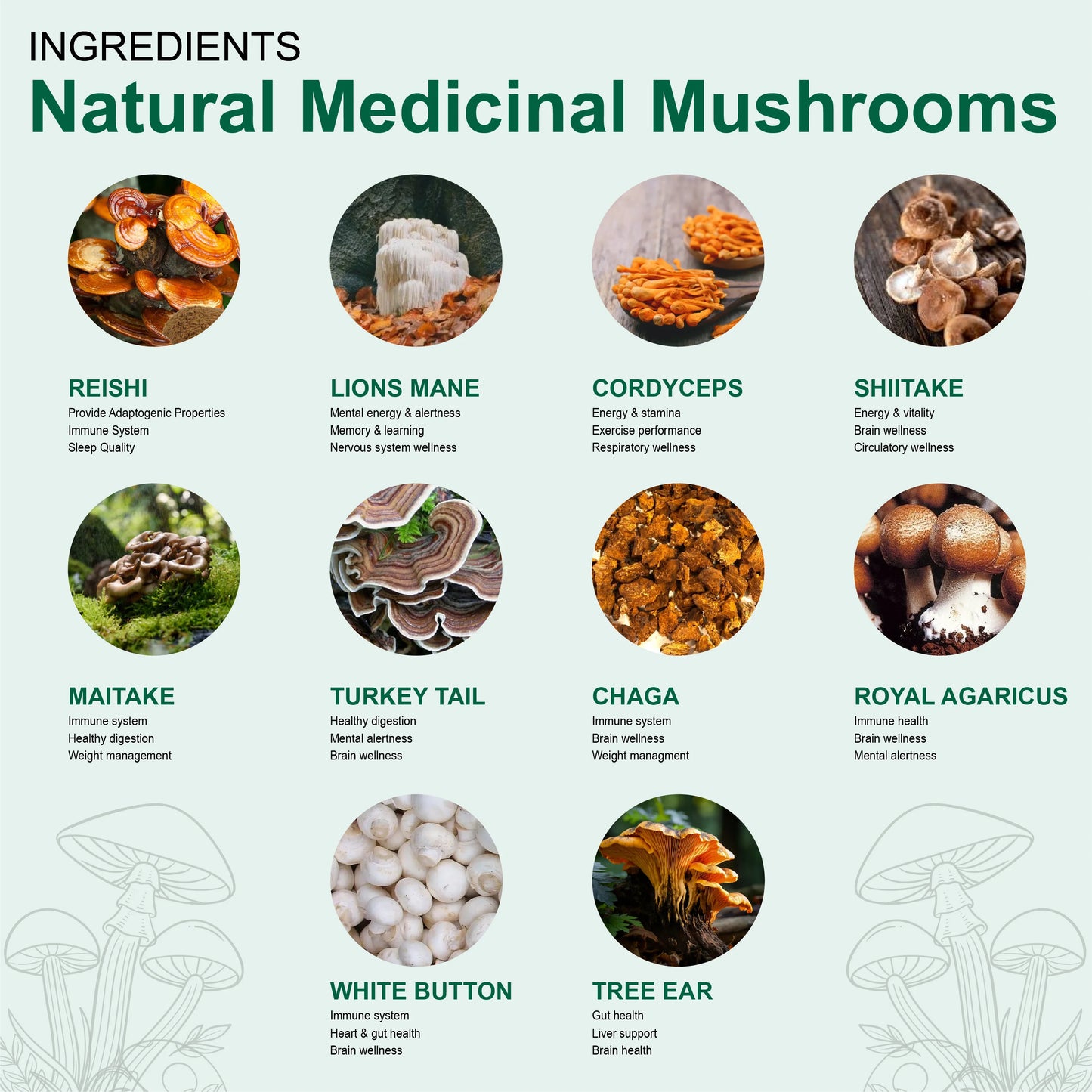 Mushroom Complex