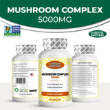 Mushroom Complex