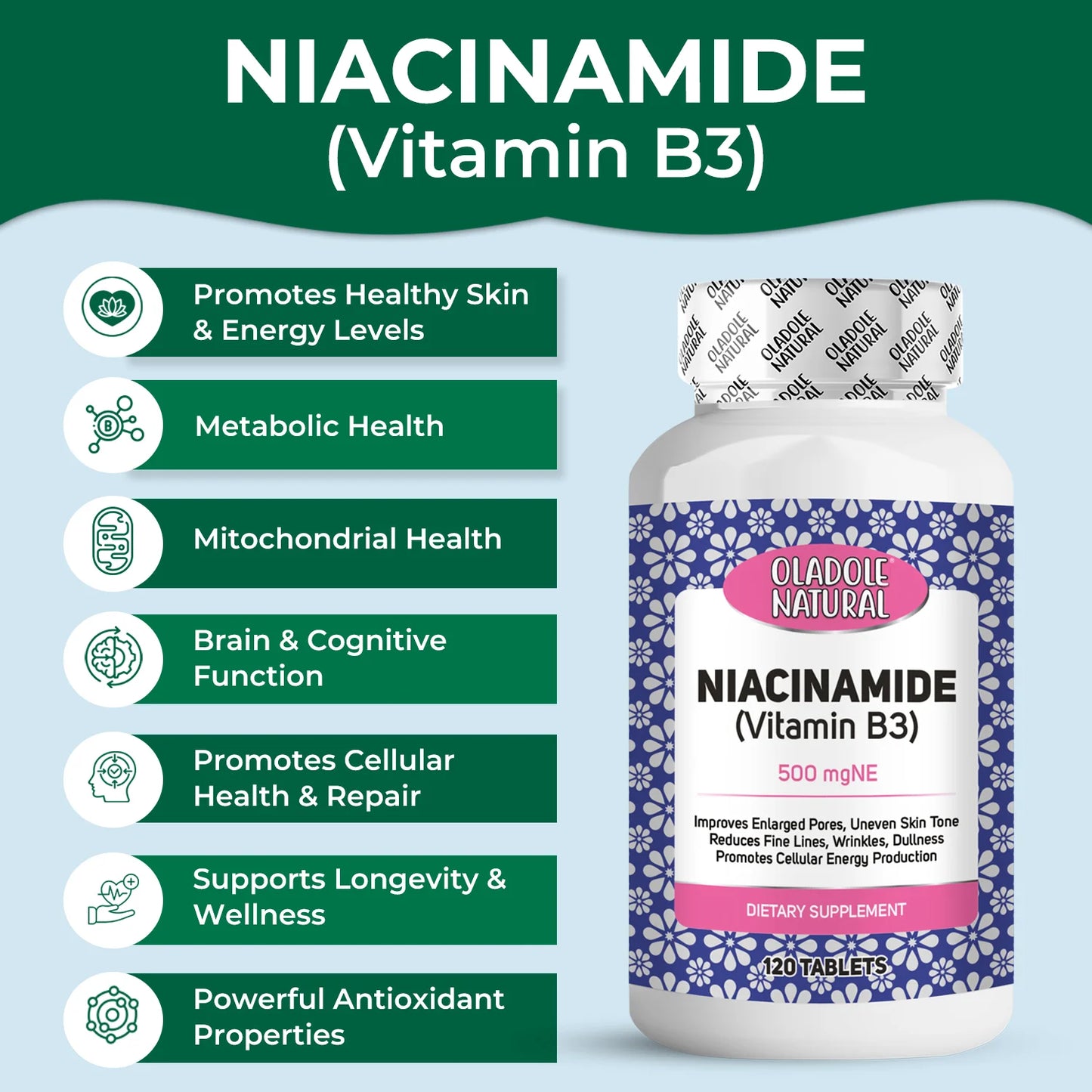 Niacinamide Vitamin B3 500 mgNE  