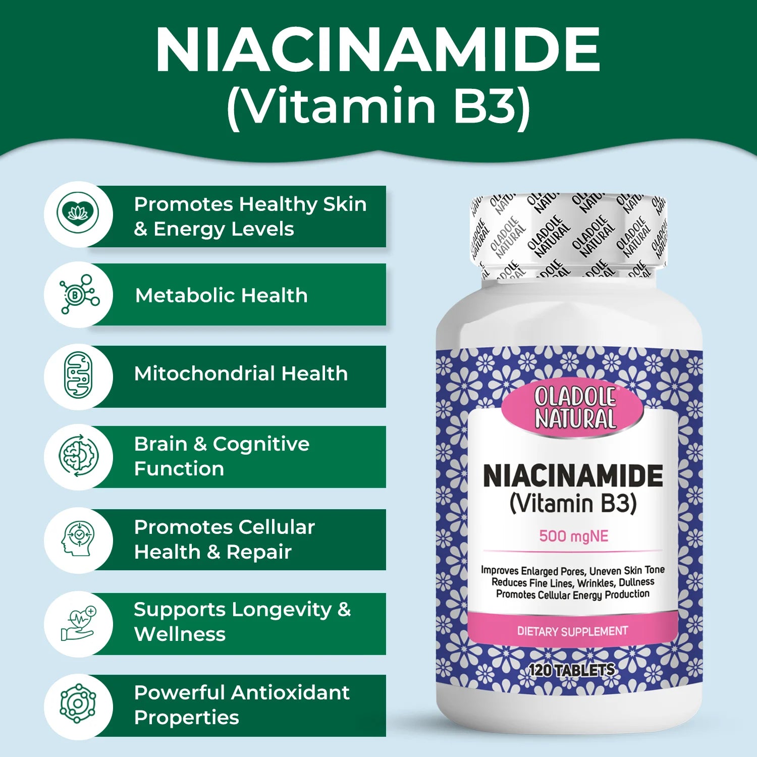 Niacinamide Vitamin B3 500 mgNE  
