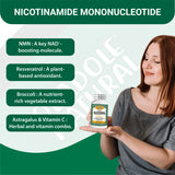 Nicotinamide Mononucleotide