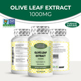 Olive Leaf Extract 1000 mg - 120 Capsule