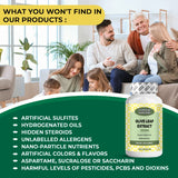 Olive Leaf Extract 1000 mg - 120 Capsule