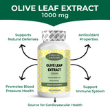 Olive Leaf Extract 1000 mg - 120 Capsule