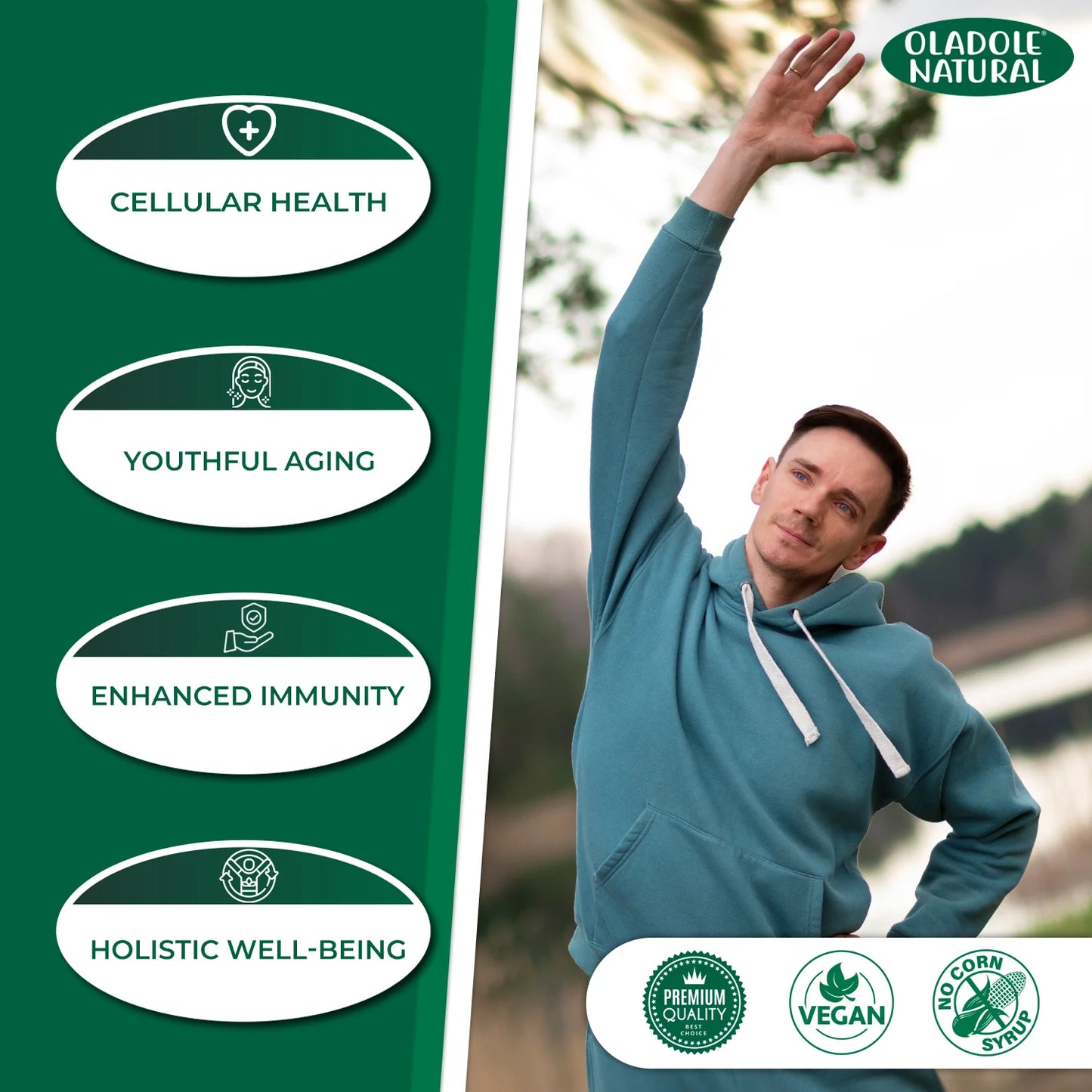 Olive Leaf Extract 1000 mg - 120 Capsule