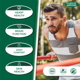 Omega 3 Fish Oil 2000 mg 360 EPA 240 DHA - 200 Softgel